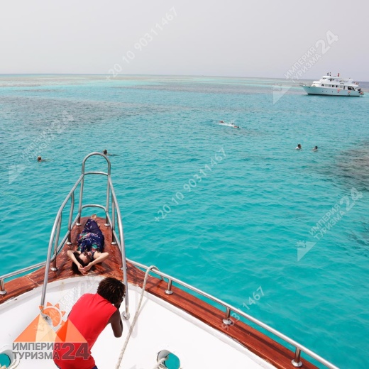 Экскурсия к Дому дельфинов в Хургаде