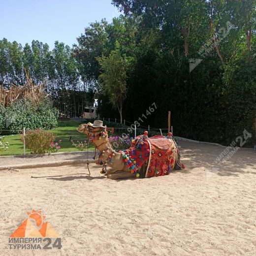 Экскурсия в Гранд Аквариум в Хургаде