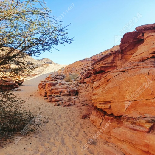 Экскурсия «Цветной каньон Салама 4 в 1»