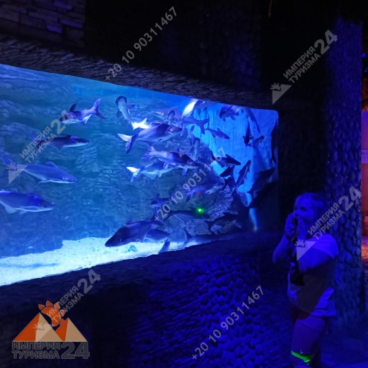 Экскурсия в Гранд Аквариум в Хургаде