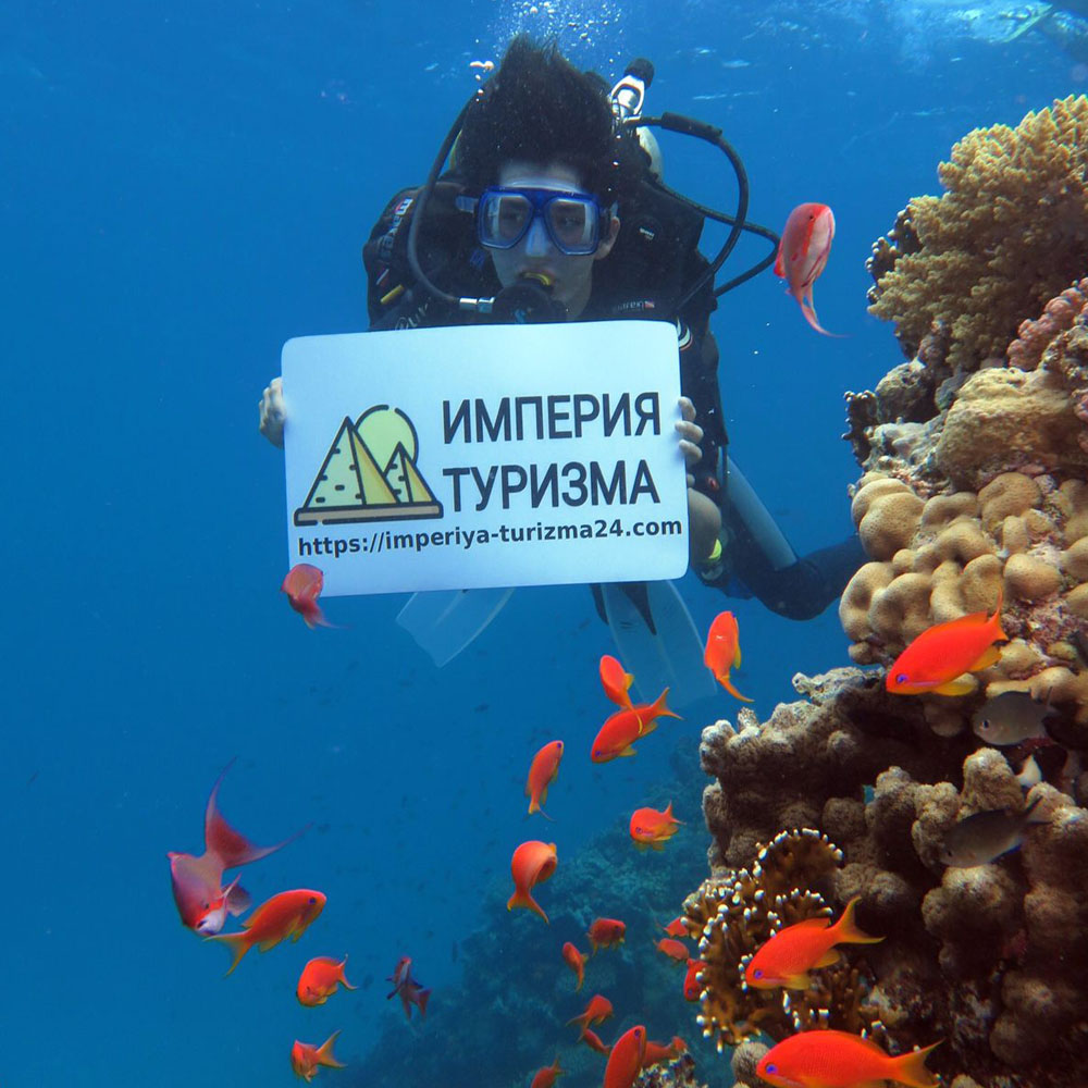 Дайвинг при наличии сертификата близ о. Тиран