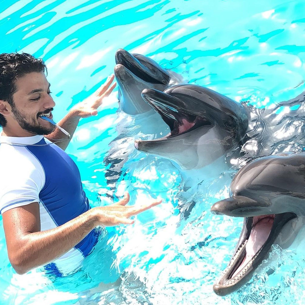 Дельфинарий Dolphina
