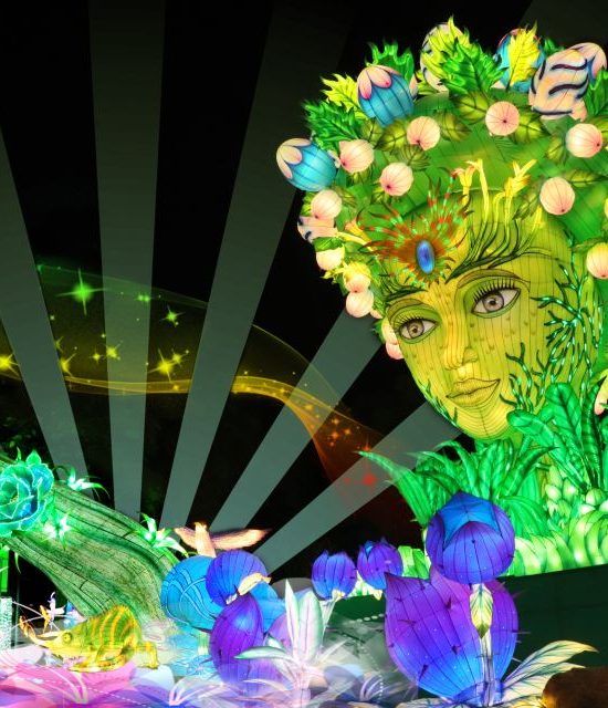 Билеты в Dubai Garden Glow