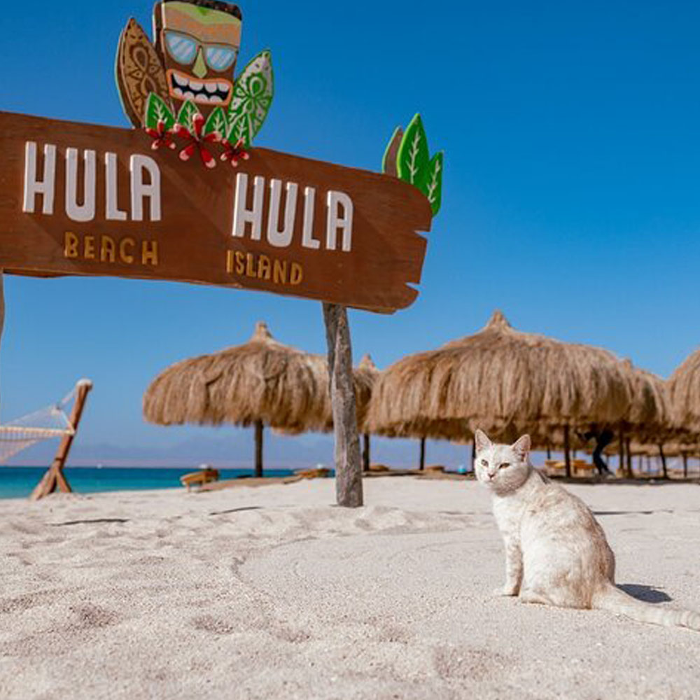 о. Hula Hula (Новый Paradise)